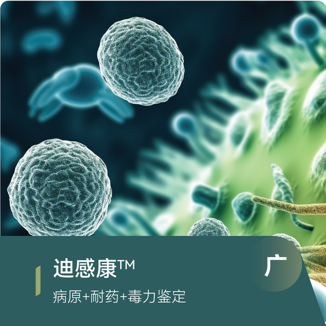 微信图片_20260609171718_1803_52